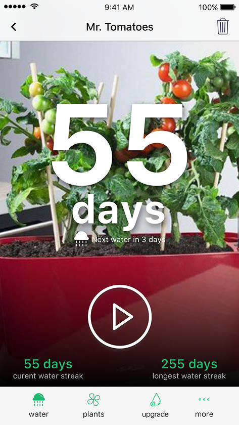 Plant profile in the Happy Plant app showing a 55 day streak