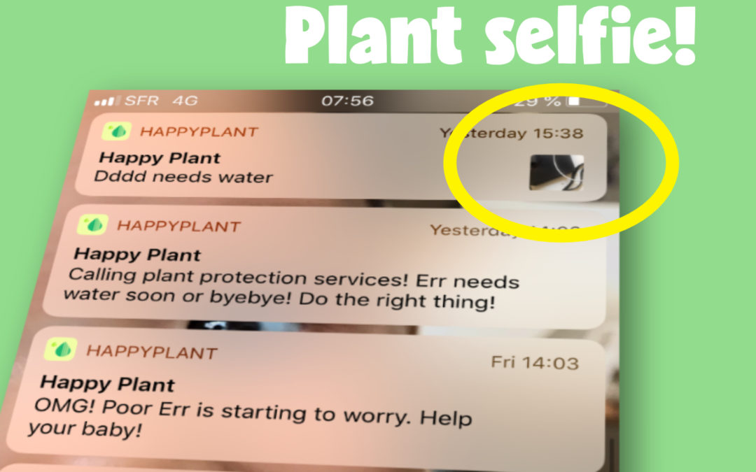 Plant image in notifications 🤯 (update 3.8.3)