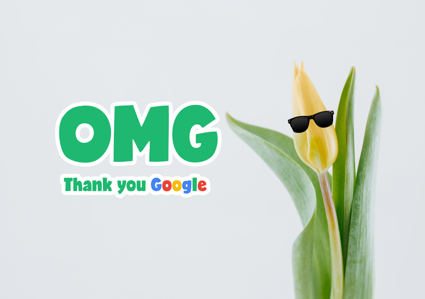 google tulip thank you